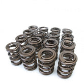 Skunk2 Tuner Series Honda/Acura (B16A/ B17A/ B18C) DOHC VTEC Alpha